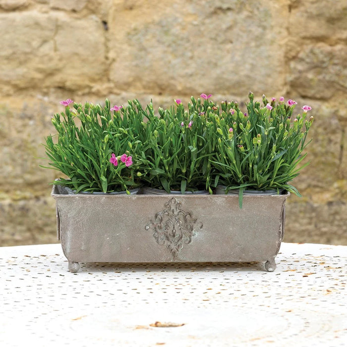 Metal Planter with Feet