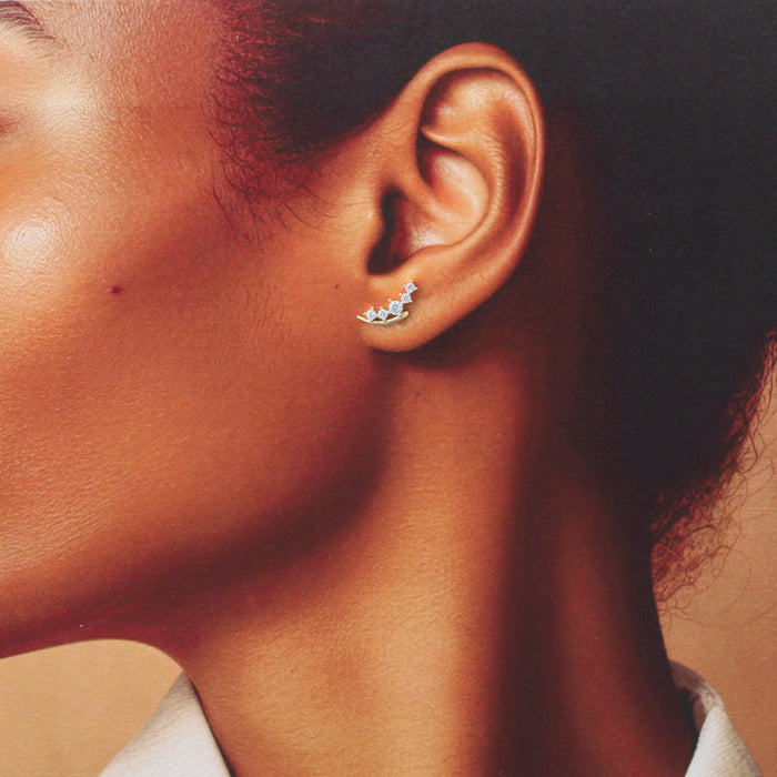 TT64040 Crystal lily of the valley earrings A LITTLE SPARKLE