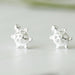 Sterling Silver Tiny Turtle Ear Studs