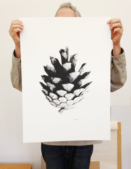 Kotten, A graphic pine cone print.