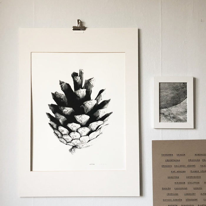 Kotten, A graphic pine cone print.