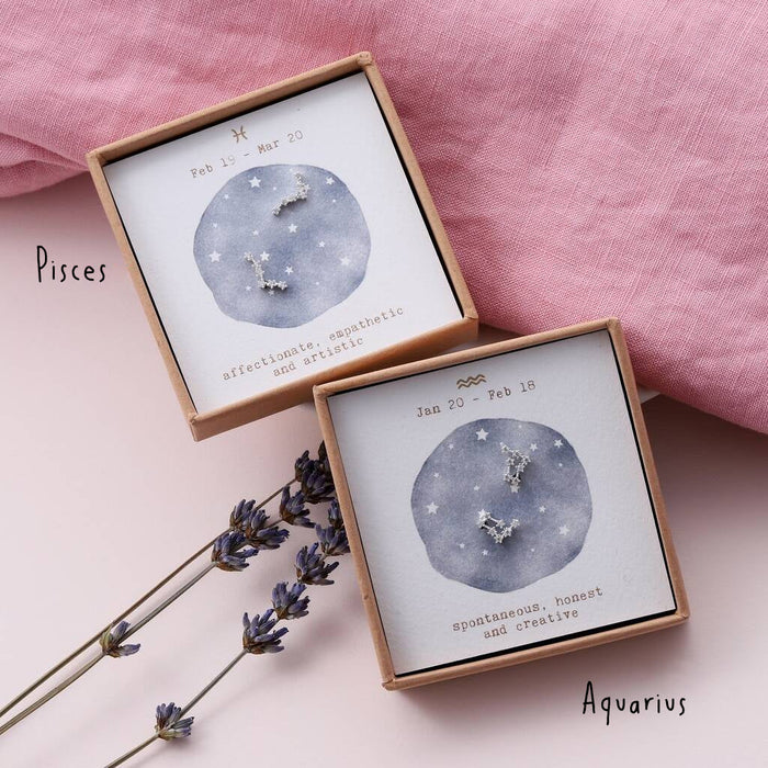 Star Sign Constellation Earrings Studs